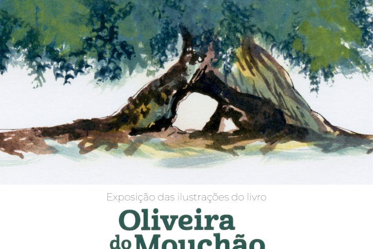 Exposi O Oliveira Do Mouch O Monumento Vivo Na Biblioteca Municipal