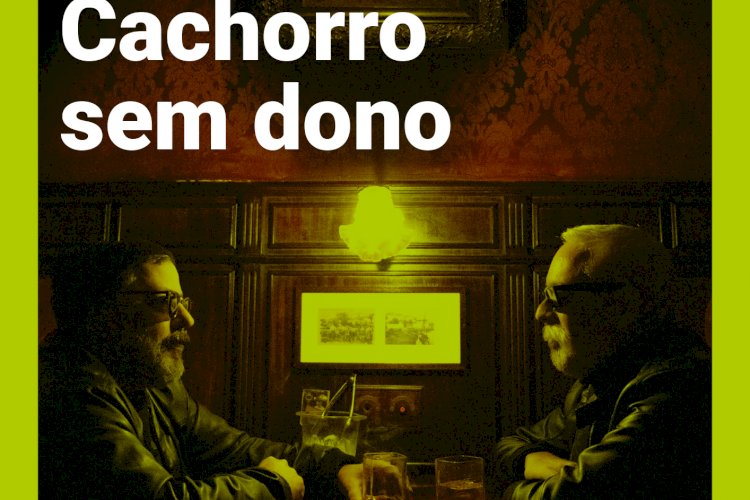 Concerto Gratuito De Cachorro Sem Dono No Anivers Rio Do Actual