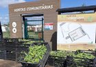 Silves entrega colheitas das hortas comunitárias a instituições do concelho