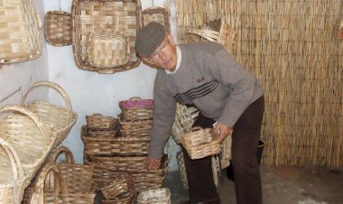 Cestaria em madeira de castanheiro