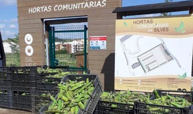 Silves entrega colheitas das hortas comunitárias a instituições do concelho
