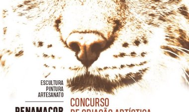 Penamacor lança o “Concurso de Criação Artística - O Lince sob Perspetiva”