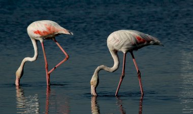 A primeira reserva natural do país