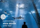 Oceanário de Lisboa reabre portas ao público