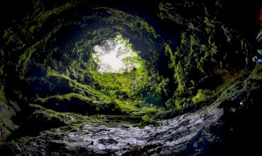 Os diferentes tipos de grutas em Portugal