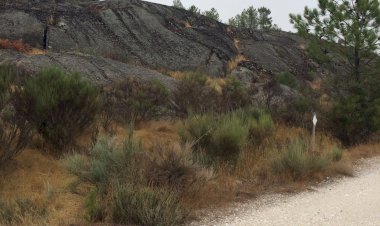 Pelos Trilhos de Portugal-Rota do Míscaro, Sátão