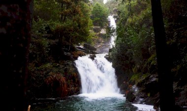 Pelos Trilhos de Portugal-Quedas de Água das Paredes, Mortágua