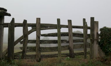Pelos Trilhos de Portugal-Vale do Tedo, Tabuaço