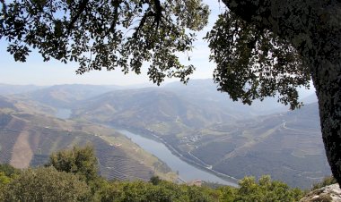Pelos Trilhos de Portugal-Trilho do Vinho do Porto, Lamego