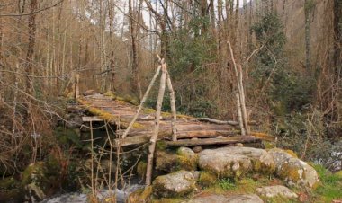 Pelos Trilhos de Portugal-Rota do Vale, Cinfães