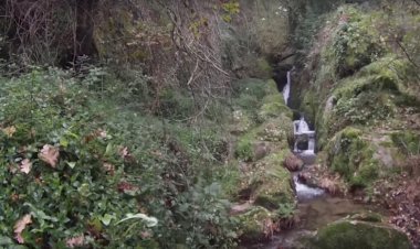 Pelos Trilhos de Portugal-Rota dos Rios e Levadas, Oliveira de Frades