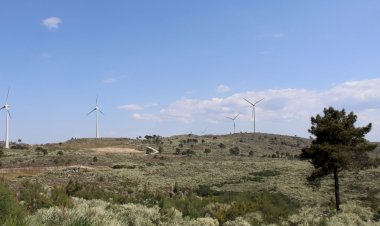 Pelos Trilhos de Portugal-Trilhos da Rota dos Vinhos da Europa, Armamar