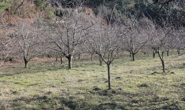 Pelos Trilhos de Portugal-Percurso do Vale do Cabrum, Resende