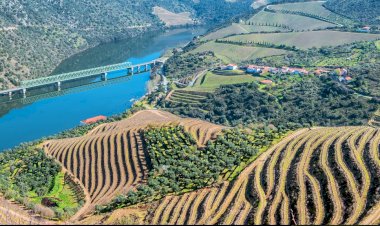 Pelos Trilhos de Portugal-Rota do Castanheiro, São João da Pesqueira