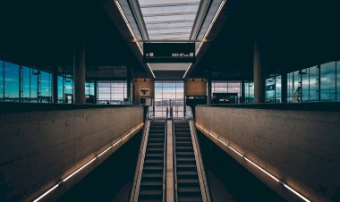 Estudo avalia os efeitos da pandemia na percepção de segurança  dos portugueses