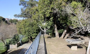 Museus Municipais de Viseu reabrem com 7 dias de lançamentos e iniciativas digitais