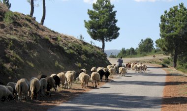 Pelos Trilhos de Portugal-Trilho da Quinta da Maúnça, Guarda