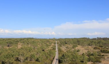 Pelos Trilhos de Portugal-À descoberta das Dunas de São Jacinto, Aveiro