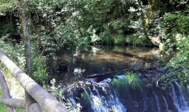 Pelos Trilhos de Portugal-Trilho dos Três Rios, Albergaria-a-Velha