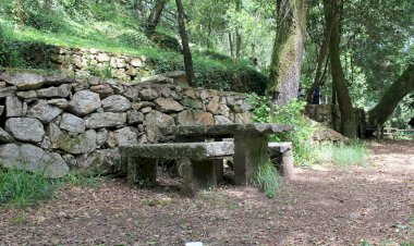 Pelos Trilhos de Portugal-Trilho dos Moinhos, Sever de Vouga