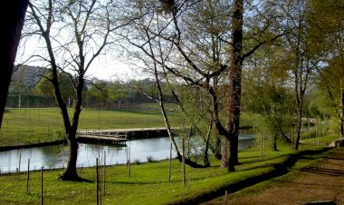 Pelos Trilhos de Portugal- Parque do Rio Ui, São João da Madeira