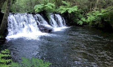 Pelos Trilhos de Portugal-Caminho do Xisto da Benfeita, Arganil