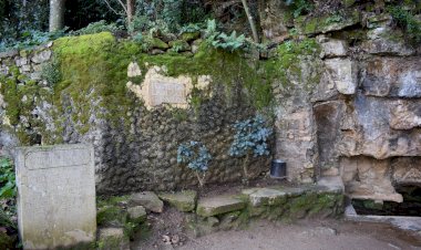 Pelos Trilhos de Portugal-Jardins da Quinta das Lágrimas, Coimbra