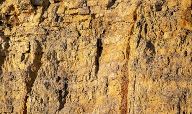 Pelos Trilhos de Portugal-Rota do Calcário, Cantanhede