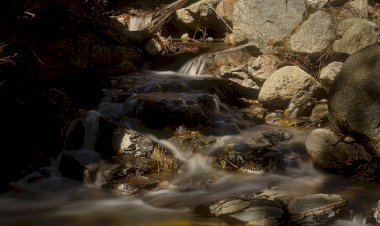 Pelos Trilhos de Portugal-Trilho das Cascatas, Vila de Rei
