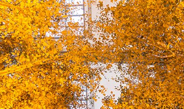 Catálogo da exposição “Olafur Eliasson: O V/Nosso Futuro é Agora” distinguida com prémio de design