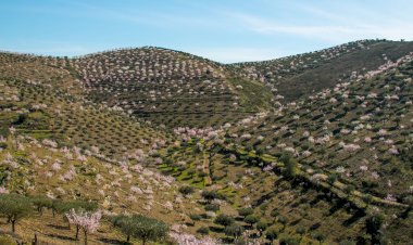 A Grande Rota do Vale do Côa