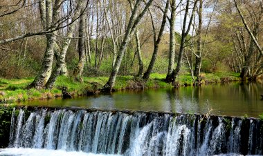 Pelos Trilhos de Portugal-Trilho do Estreito, Oleiros