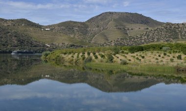 Pelos Trilhos de Portugal-Vale da Ribeira do Mosteiro, Freixo de Espada à Cinta