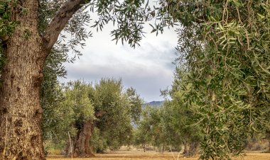 Pelos Trilhos de Portugal-Trilho das Caldeirinhas, Valpaços