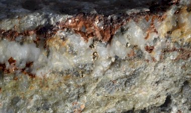 Pelos Trilhos de Portugal-Circuito do Mineiro, Vila Real