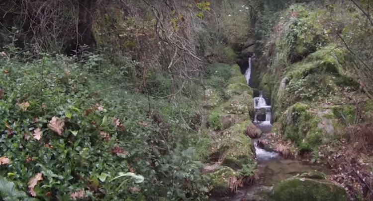 Pelos Trilhos de Portugal-Rota dos Rios e Levadas, Oliveira de Frades
