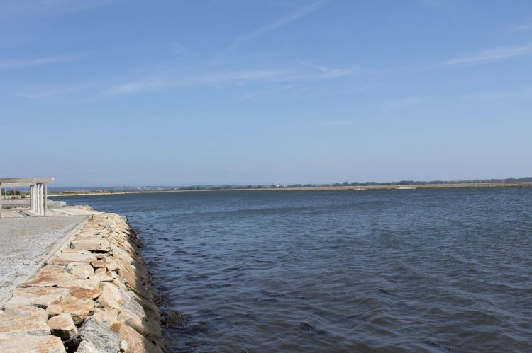 Pelos Trilhos de Portugal-Percurso da Murtosa, Murtosa
