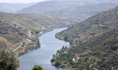 Pelos Trilhos de Portugal-Rota do Sopé do Marão, Mesão Frio