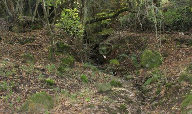 Pelos Trilhos de Portugal-Trilho Rota do Volfrâmio, Sabrosa