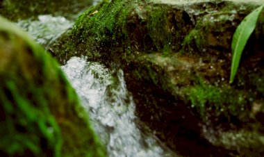 Pelos Trilhos de Portugal-Trilho de São Bento, Vizela