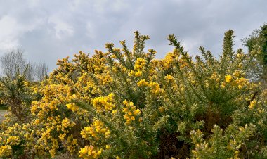 Pelos Trilhos de Portugal-Percurso Pedestre das Papas, Cabeceiras de Basto