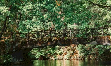 Pelos Trilhos de Portugal-Trilho da Águia do Sarilhão, Terras de Bouro