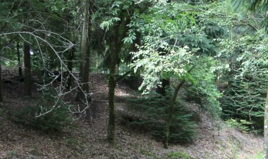 Pelos Trilhos de Portugal-As Aldeias das Margens do Rio Vizela, Fafe