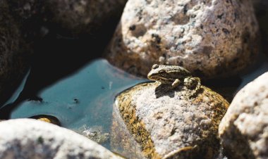 Pelos Trilhos de Portugal-Trilho da Peneda, Arcos de Valdevez