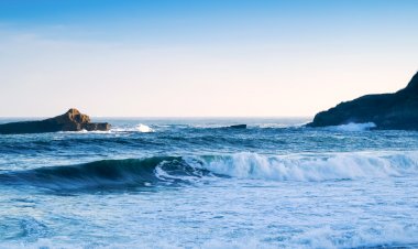 Oceanos e alterações climáticas em debate no Museu de História Natural