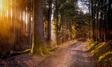 Pelos Trilhos de Portugal-Dois Rios Dois Mosteiros, Marco de Canaveses