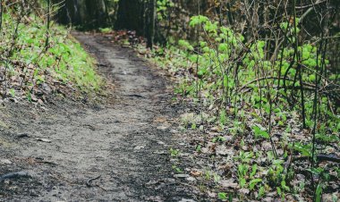 Pelos Trilhos de Portugal-Trilho das Eiras, Vila Nova de Famalicão