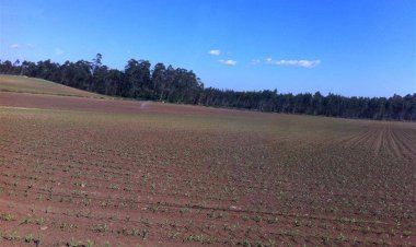 Pelos Trilhos de Portugal-Ecomuseu de São Pedro de Rates, Póvoa de Varzim