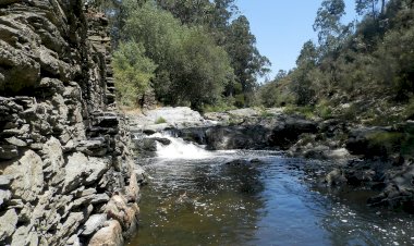 Pelos Trilhos de Portugal-Corredor Ecológico, Valongo