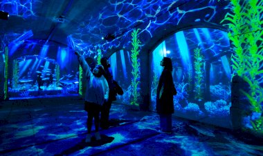 “Porto Legends”: lendas do Porto regressam  à Alfândega